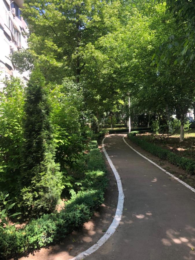 Laguna Apartament Brăila エクステリア 写真