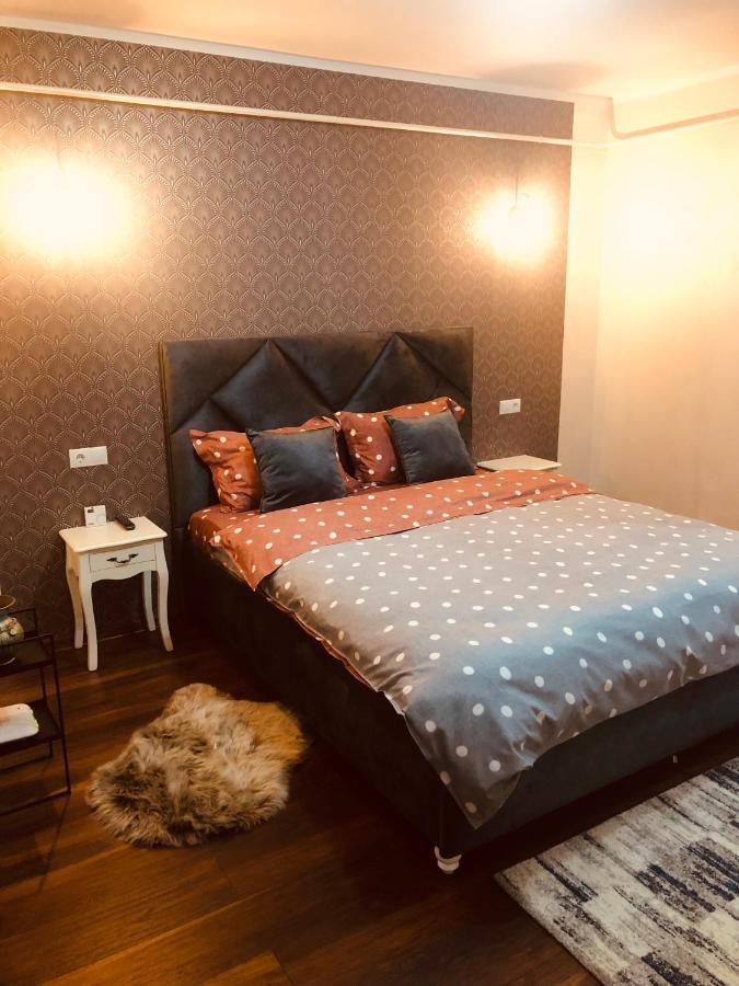 Laguna Apartament Brăila エクステリア 写真